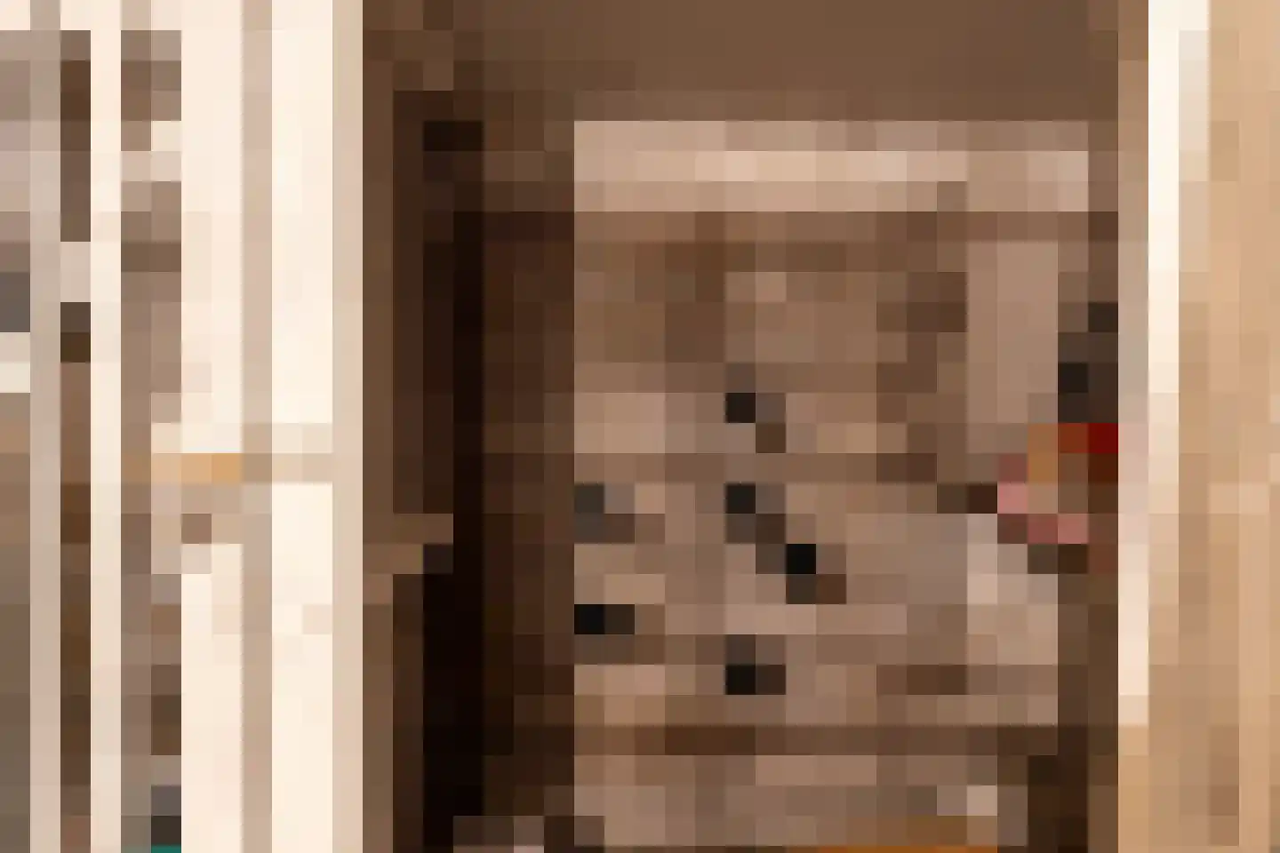 Benedenkerkstraat 87 Waspik thumbnail 20