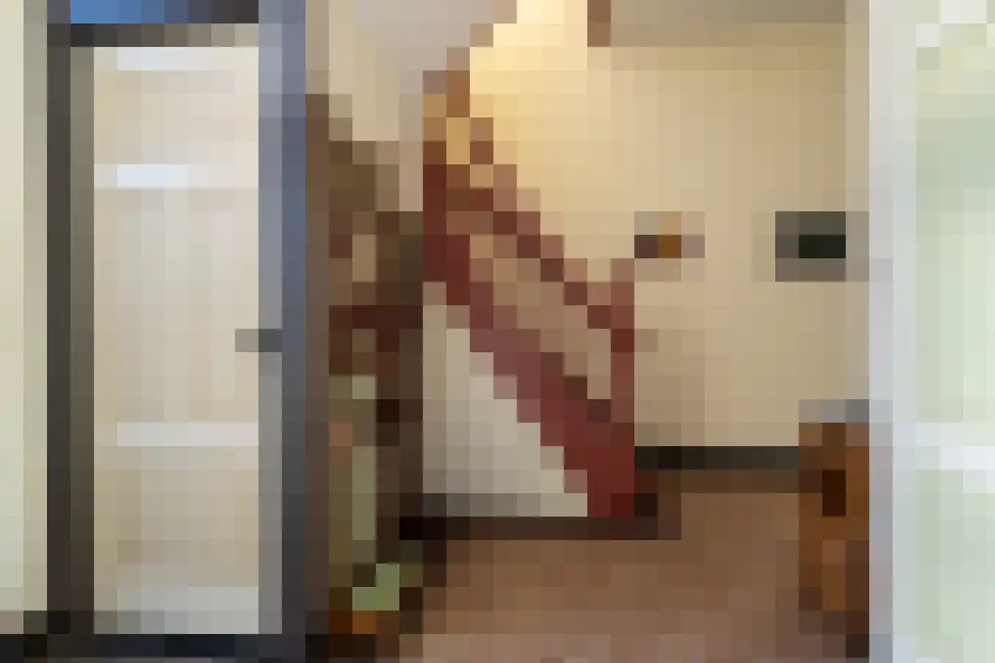Benedenkerkstraat 87 Waspik thumbnail 21