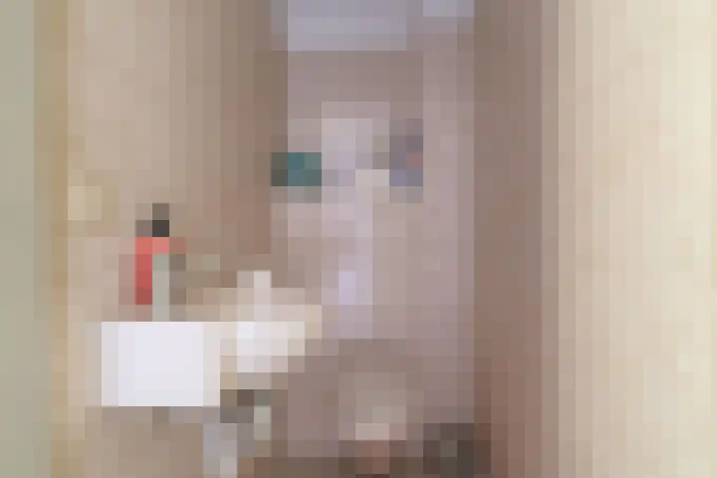 Benedenkerkstraat 87 Waspik thumbnail 30