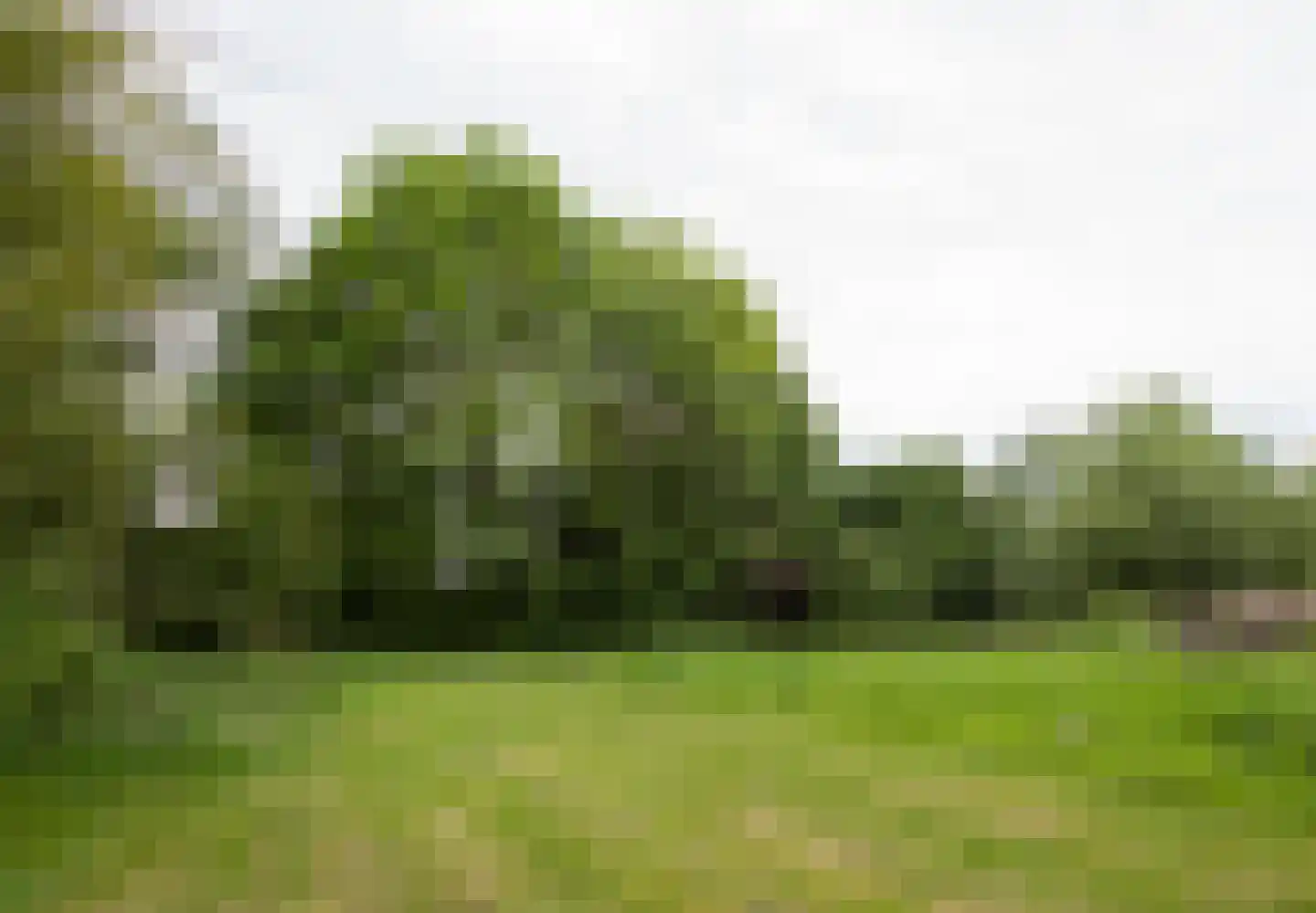 Benedenkerkstraat 87 Waspik thumbnail 33