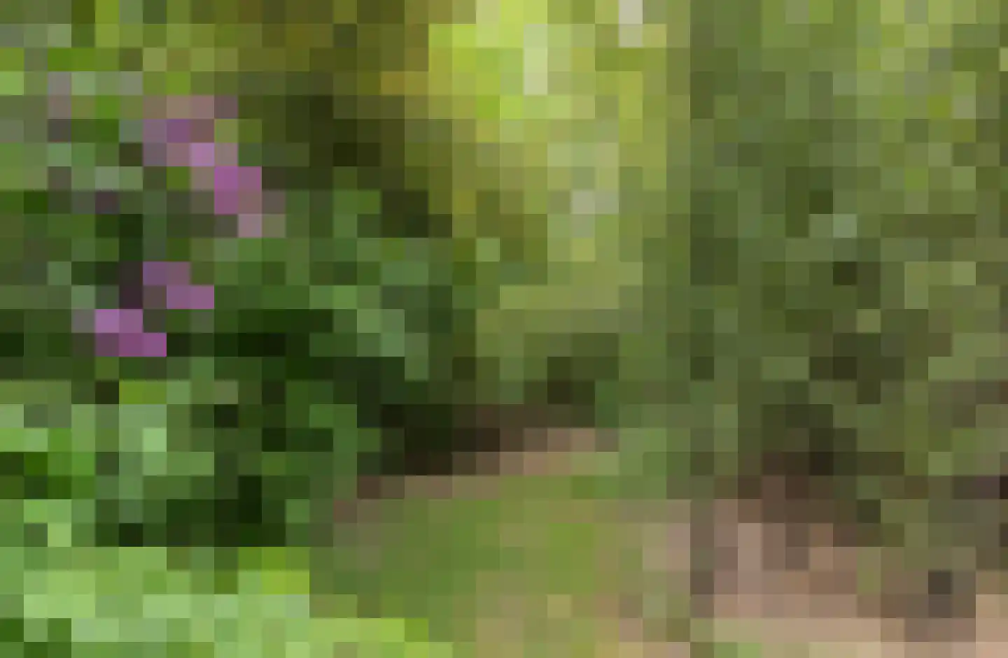 Benedenkerkstraat 87 Waspik thumbnail 34