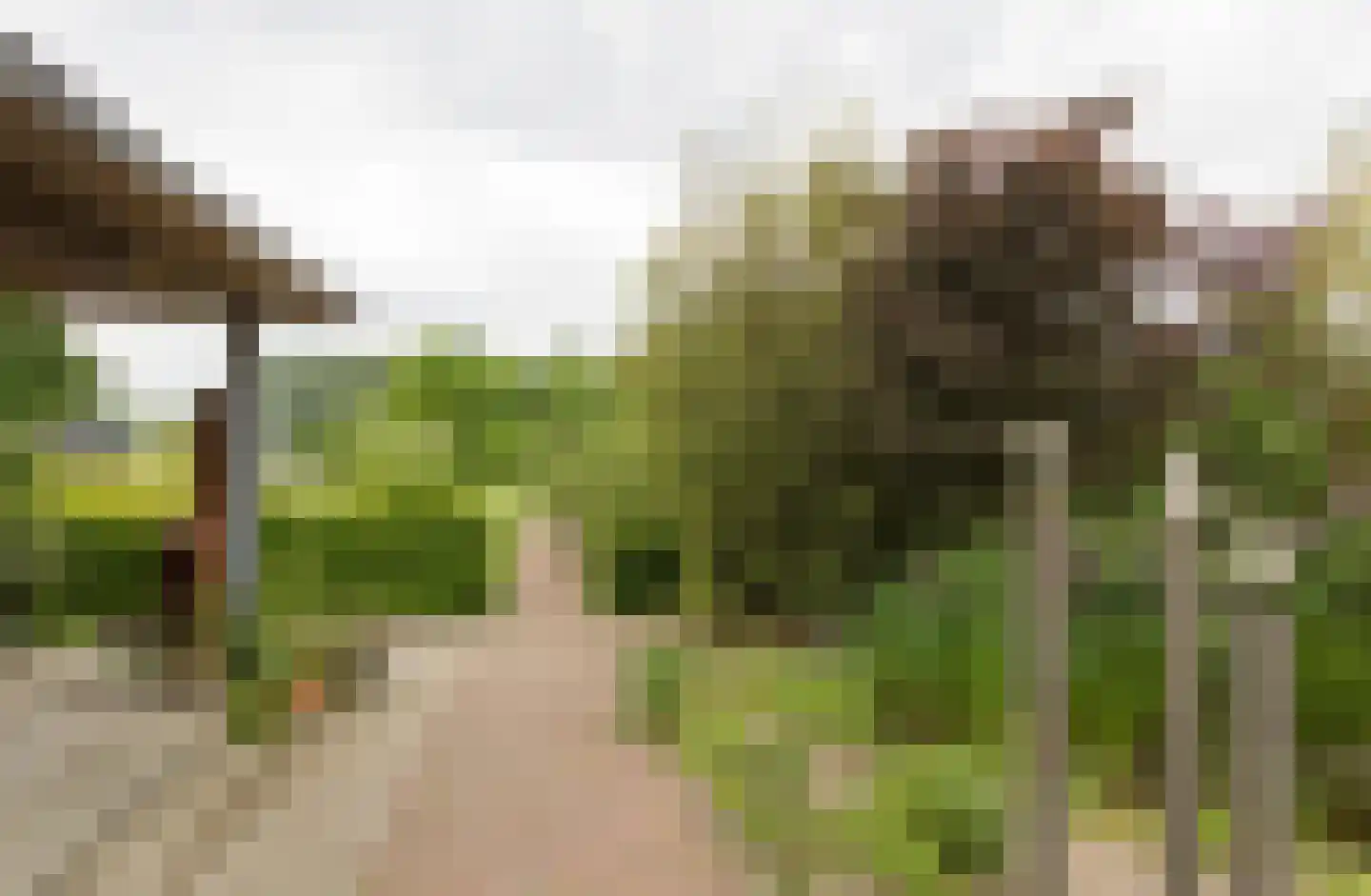 Benedenkerkstraat 87 Waspik thumbnail 36