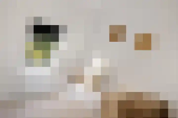 Benedenkerkstraat 87 Waspik thumbnail 38