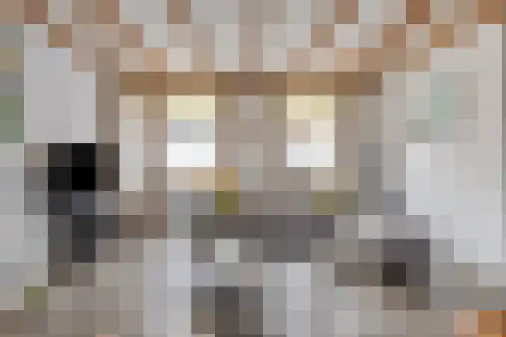 Benedenkerkstraat 87 Waspik thumbnail 4