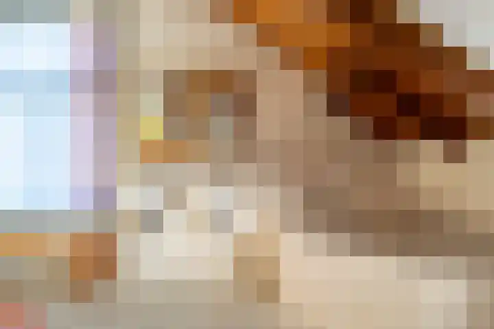 Benedenkerkstraat 87 Waspik thumbnail 41