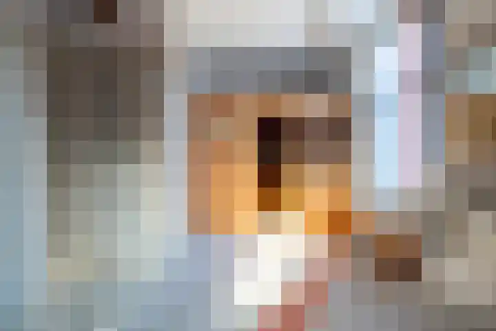 Benedenkerkstraat 87 Waspik thumbnail 42