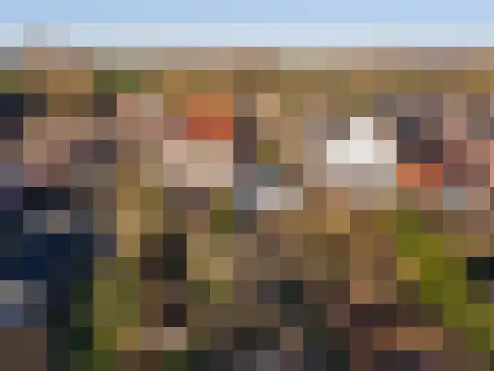 Benedenkerkstraat 87 Waspik thumbnail 43