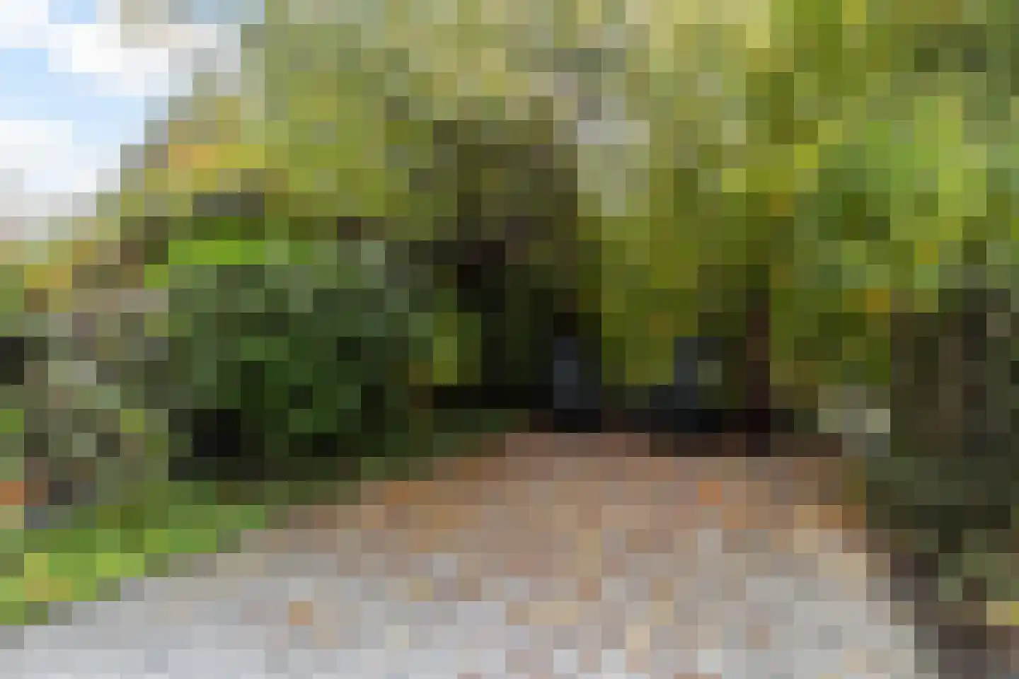 Benedenkerkstraat 87 Waspik thumbnail 53