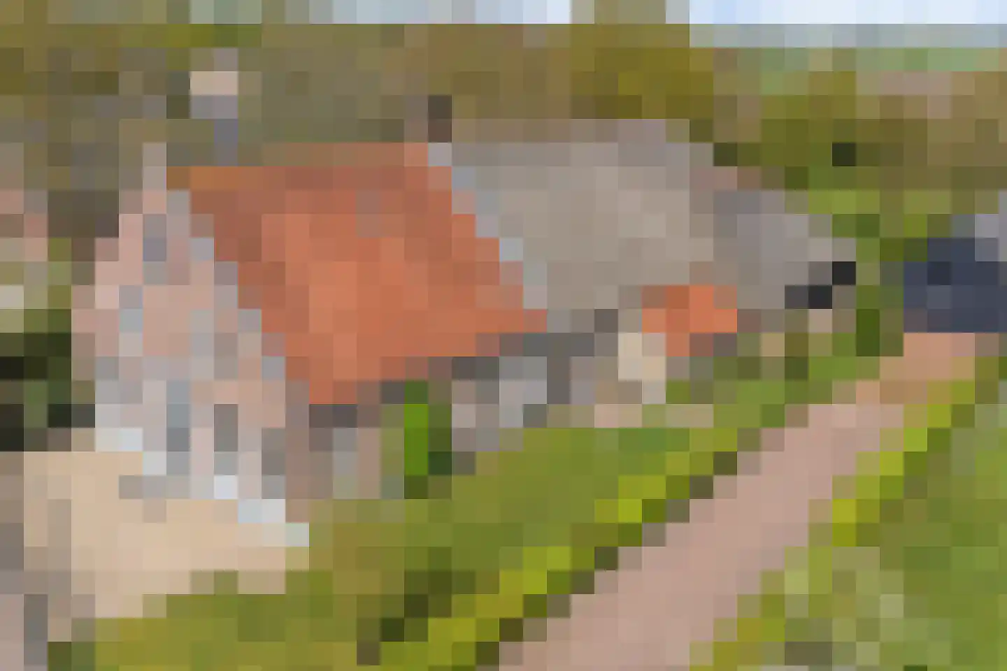 Benedenkerkstraat 92 in Waspik