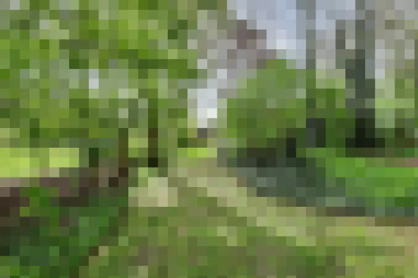 Benedenkerkstraat 92 Waspik thumbnail 38