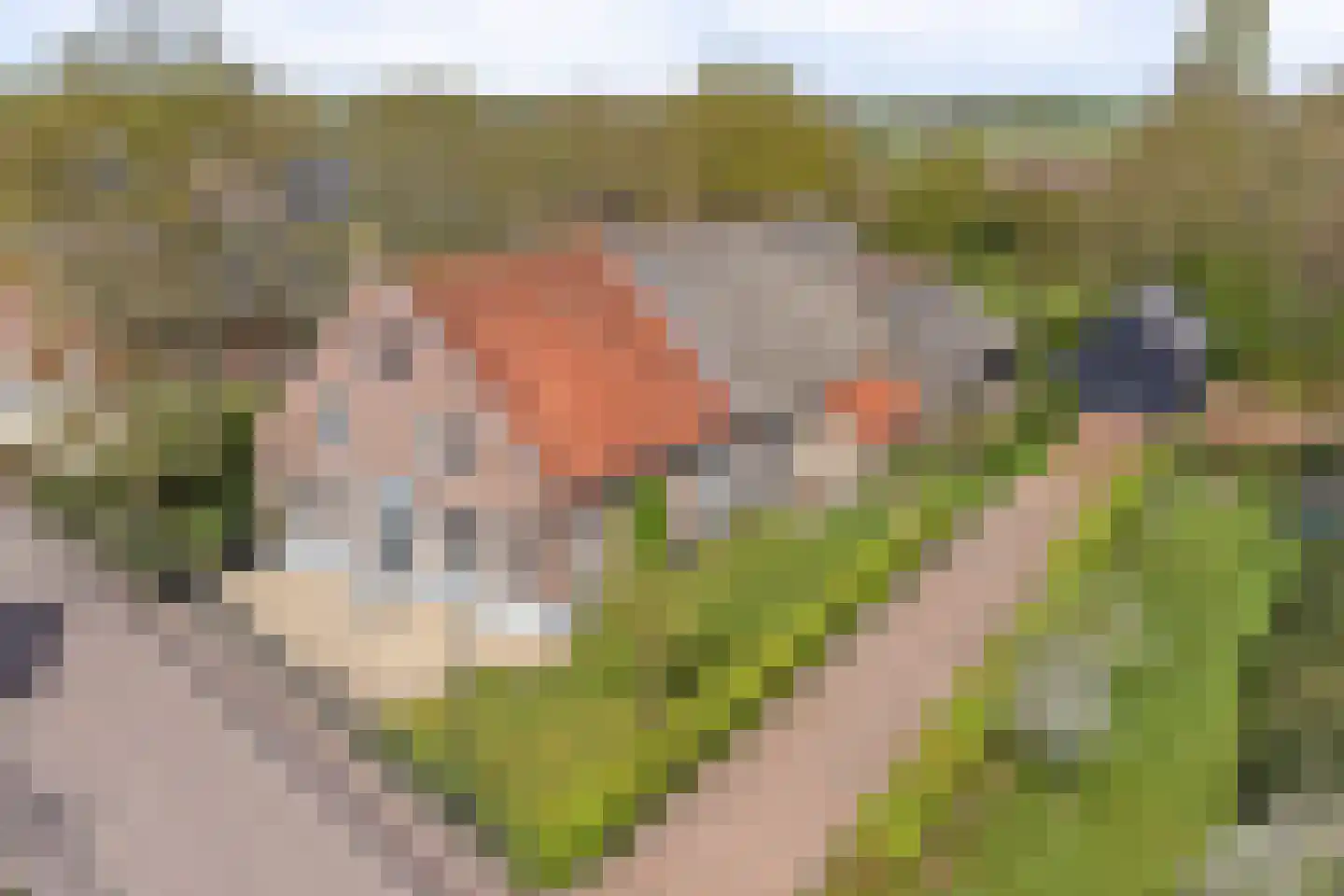 Benedenkerkstraat 92 Waspik thumbnail 45