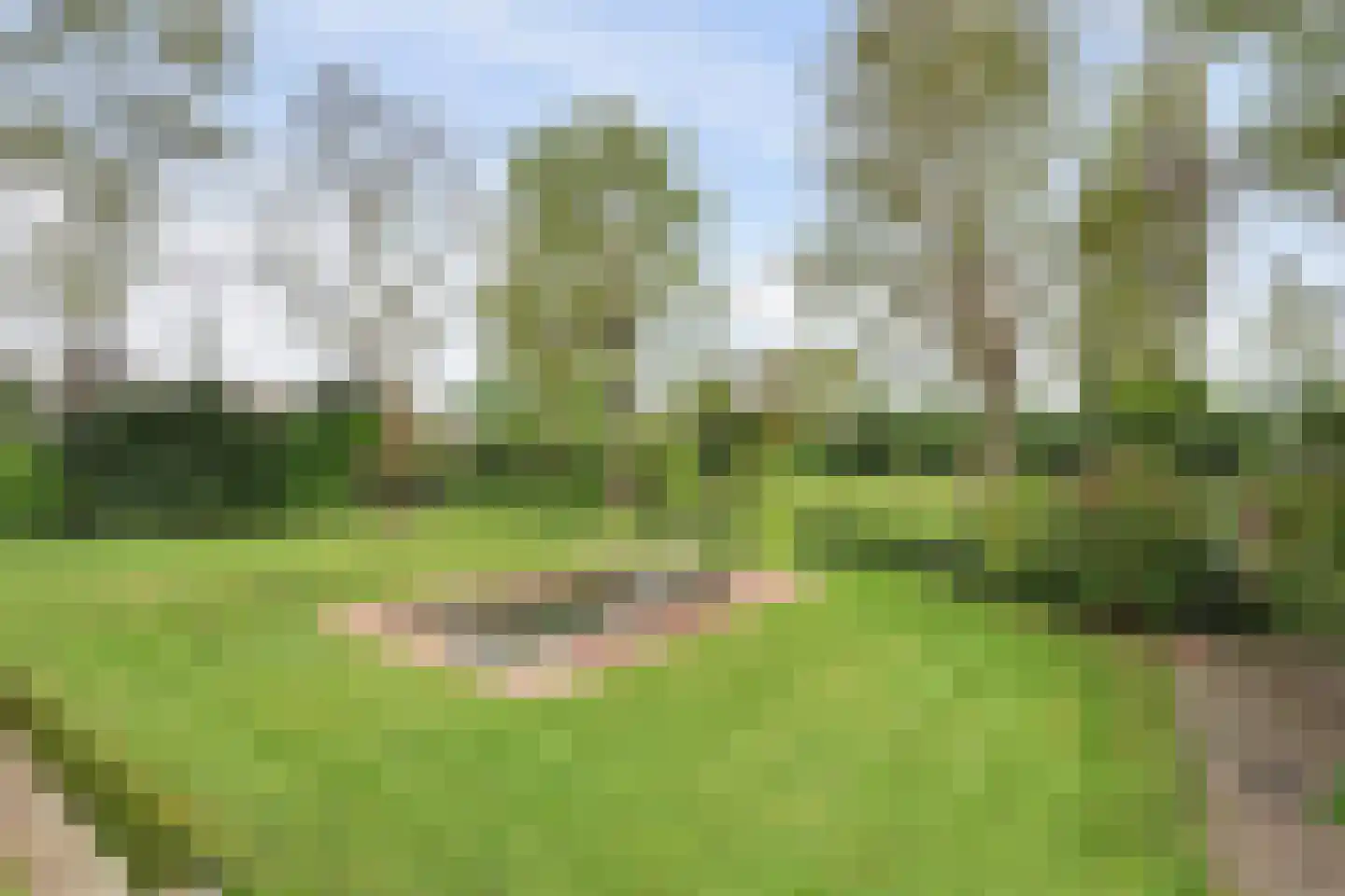 Benedenkerkstraat 92 Waspik thumbnail 8