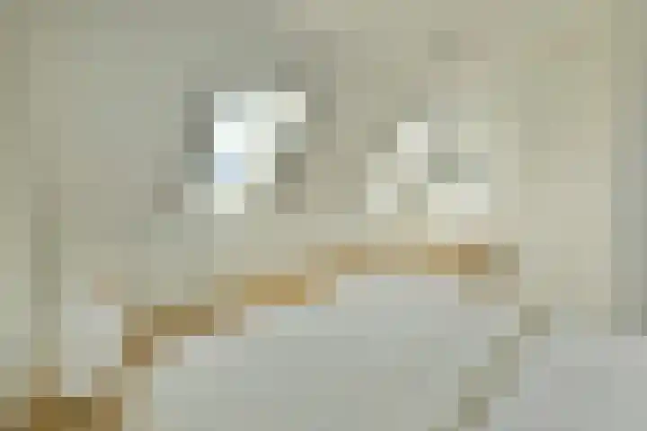 Benedenland 13 Wilnis thumbnail 13