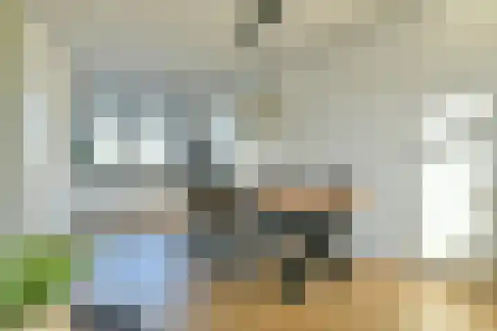 Benedenland 13 Wilnis thumbnail 5
