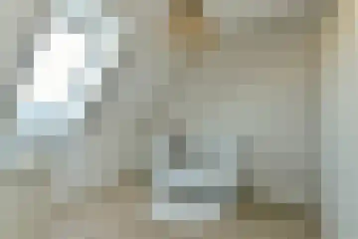 Benedenland 13 Wilnis thumbnail 9