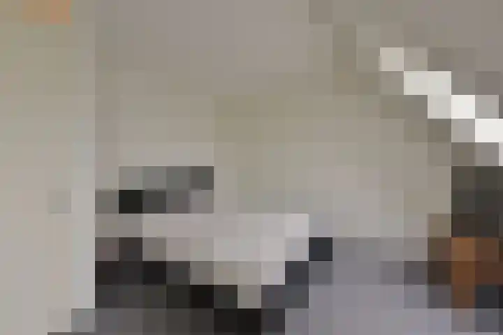 Benedenland 23 Wilnis thumbnail 13
