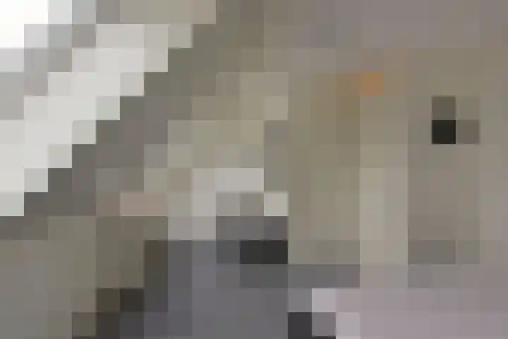 Benedenland 23 Wilnis thumbnail 14