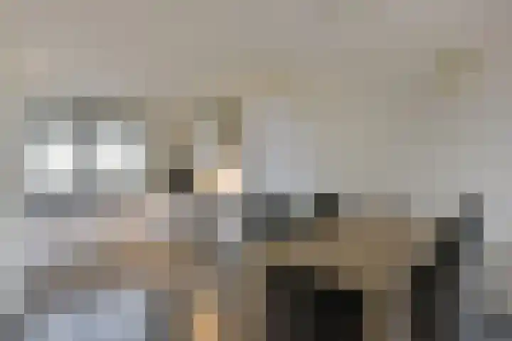 Benedenland 23 Wilnis thumbnail 9