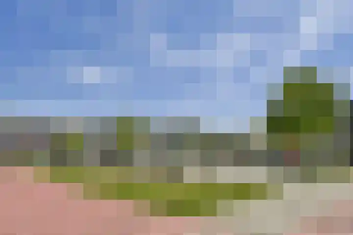 Benedenland 24 Wilnis thumbnail 18