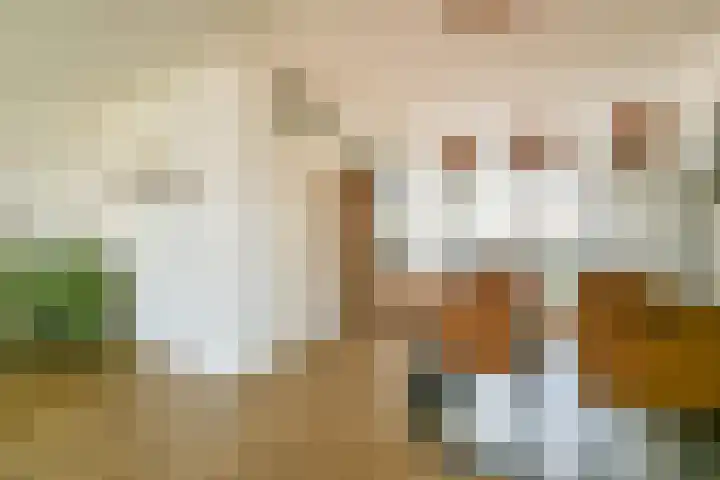 Benedenland 24 Wilnis thumbnail 8
