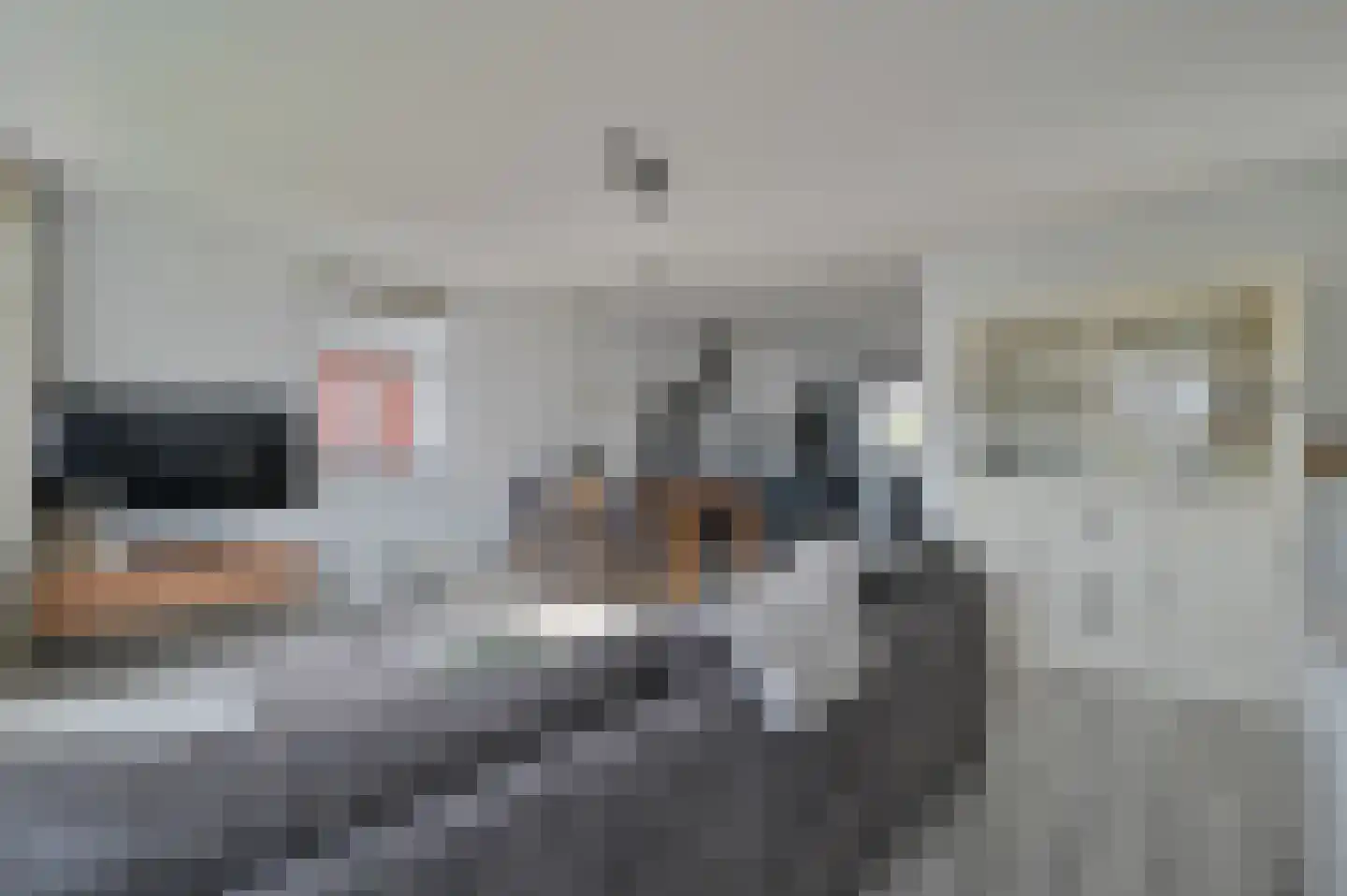 Benedenland 28 Wilnis thumbnail 10