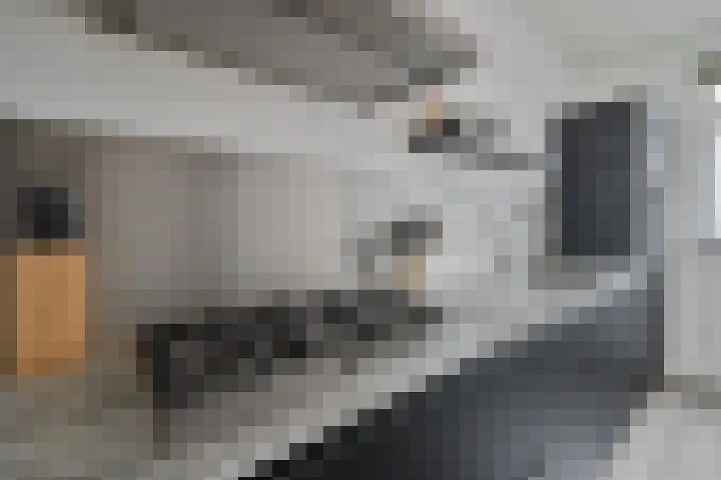 Benedenland 28 Wilnis thumbnail 14