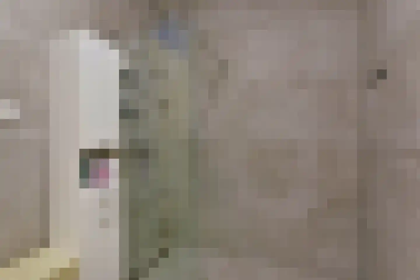 Benedenland 31 Wilnis thumbnail 16
