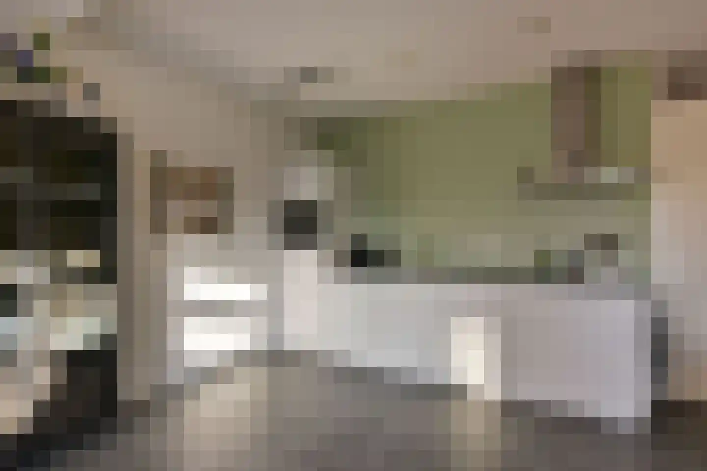 Benedenland 31 Wilnis thumbnail 9