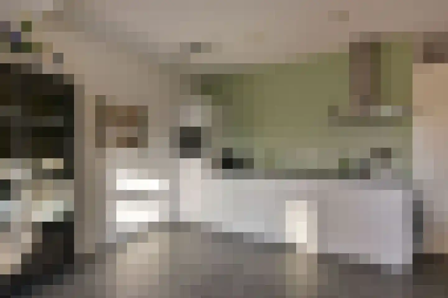 Benedenland 31 Wilnis thumbnail 9