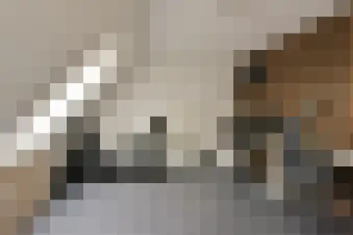 Benedenland 34 Wilnis thumbnail 14
