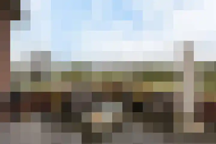 Benedenland 34 Wilnis thumbnail 20