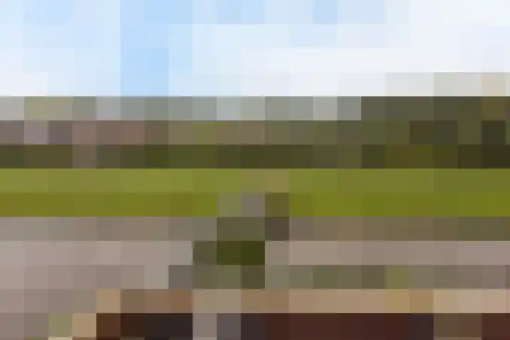 Benedenland 34 Wilnis thumbnail 22