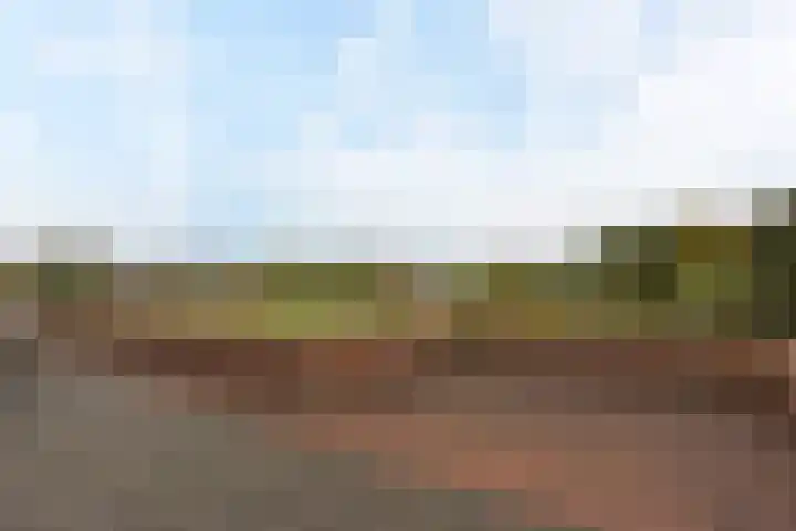 Benedenland 34 Wilnis thumbnail 23