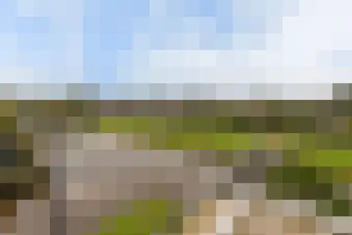 Benedenland 34 Wilnis thumbnail 24