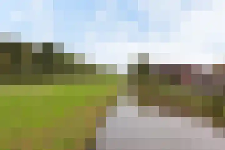 Benedenland 34 Wilnis thumbnail 27