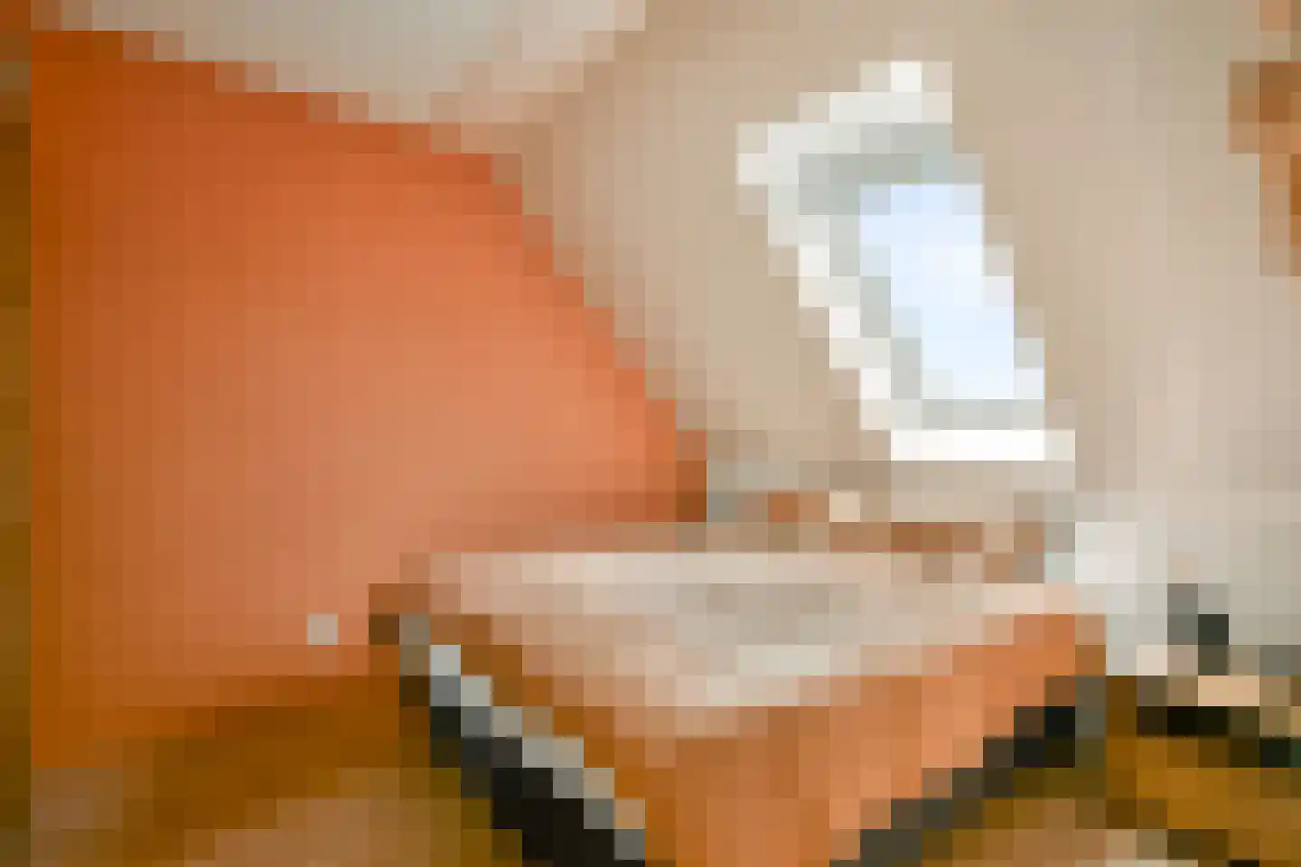 Benedenland 37 Wilnis thumbnail 15