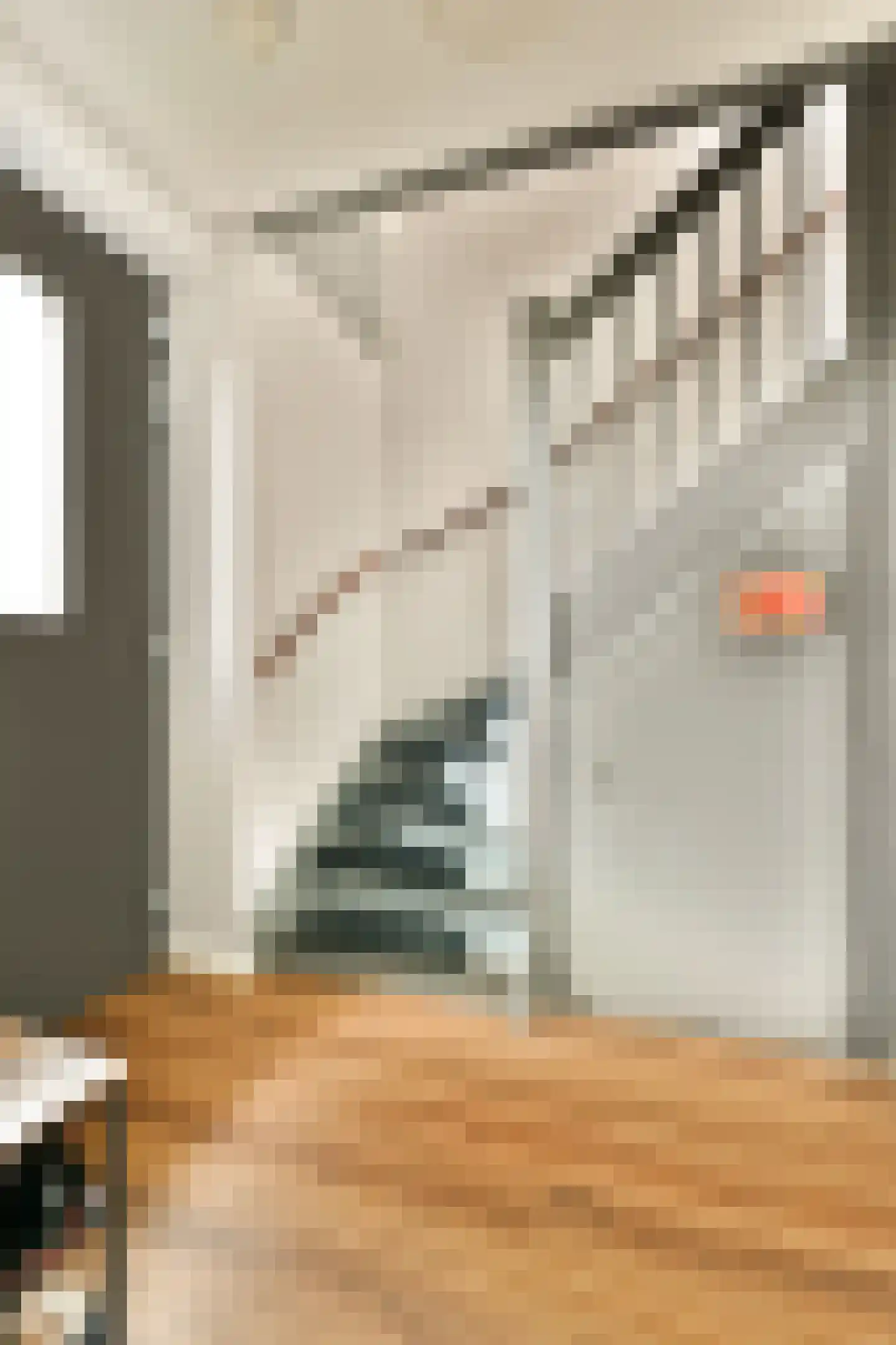 Benedenland 37 Wilnis thumbnail 16