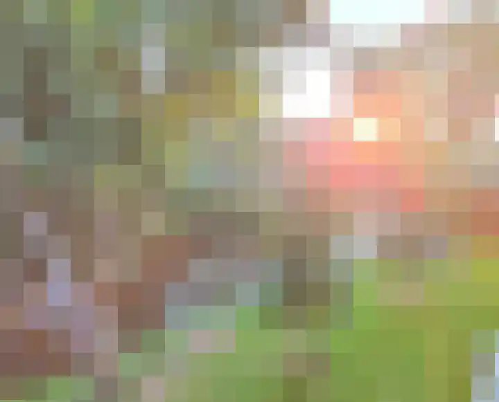 Benedenlangs 17 Amsterdam thumbnail 18