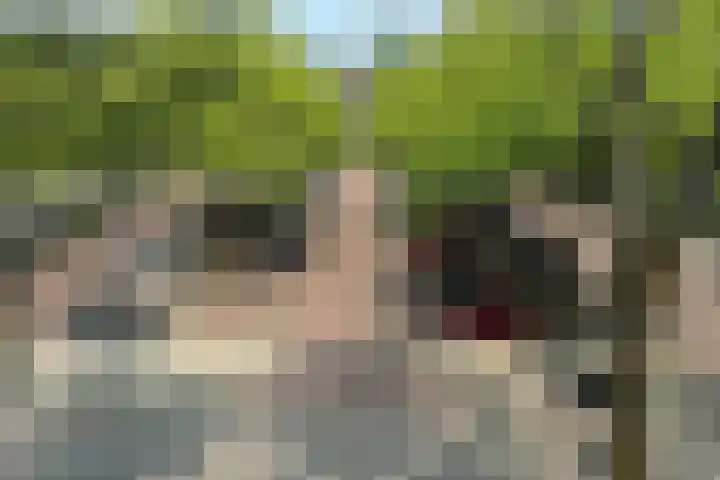 Benedenlangs 17 Amsterdam thumbnail 34
