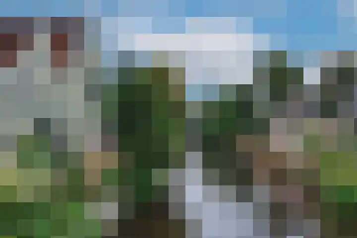 Benedenlangs 17 Amsterdam thumbnail 44