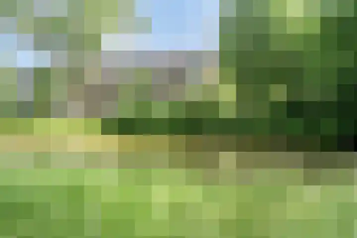 Benedenlangs 17 Amsterdam thumbnail 47