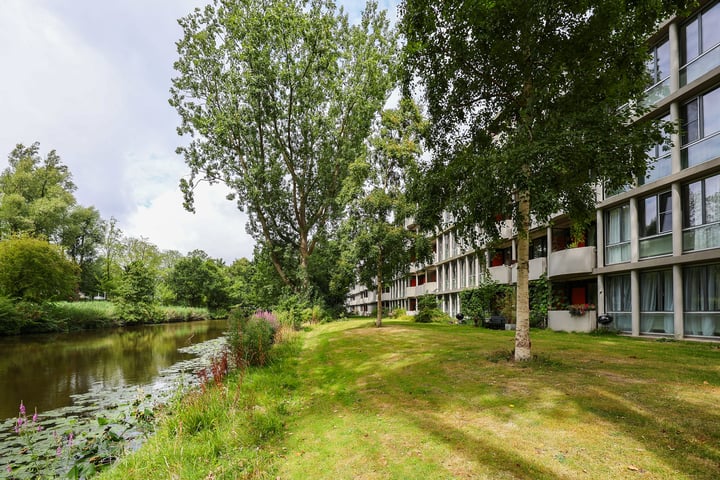 Benedenlangs 49 dans Amsterdam photo