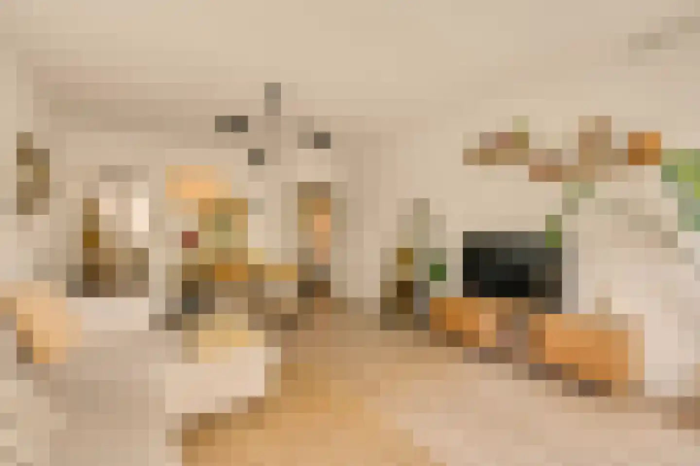 Benedenlangs 5 Amsterdam thumbnail 13