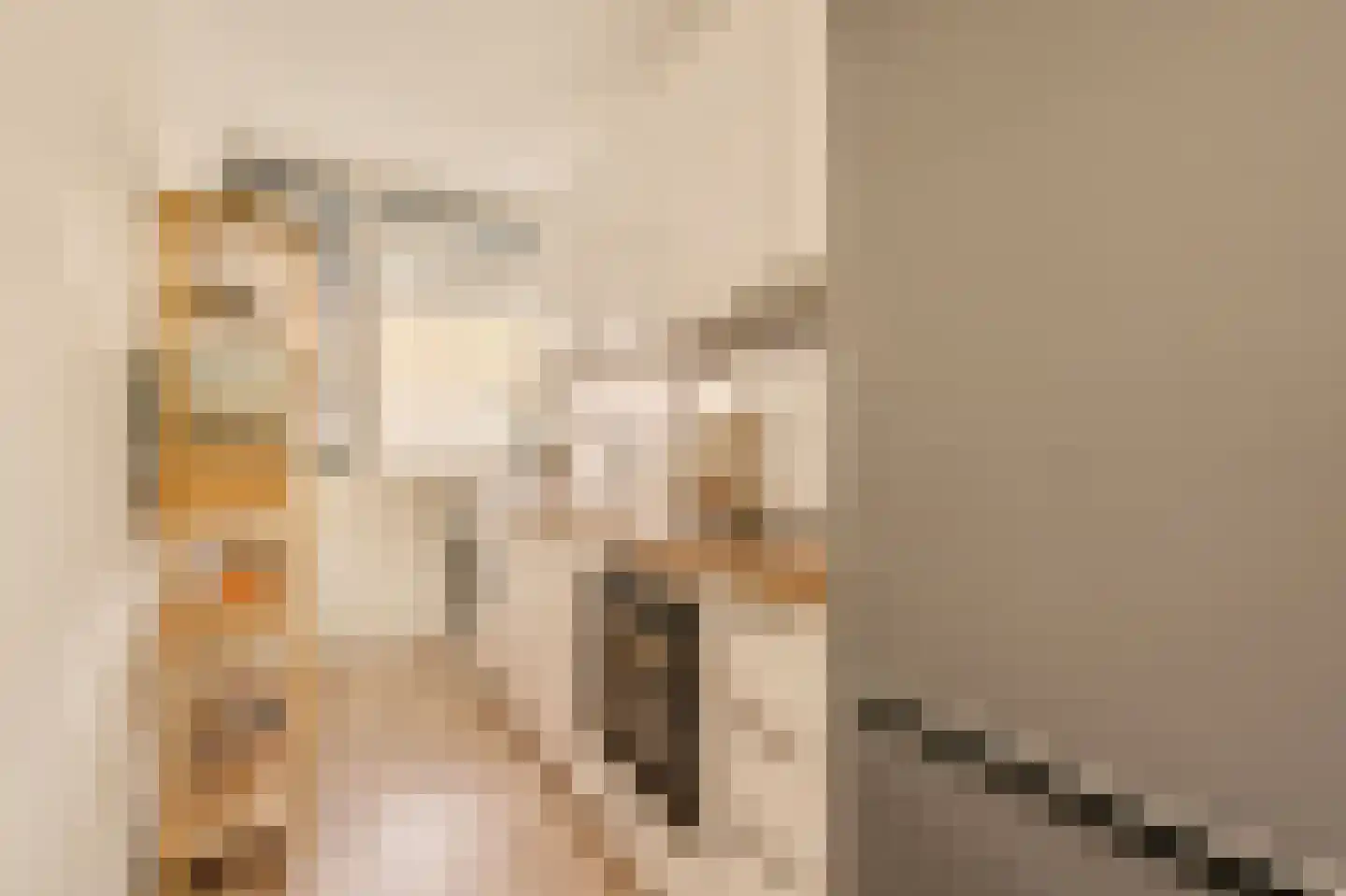 Benedenlangs 5 Amsterdam thumbnail 19