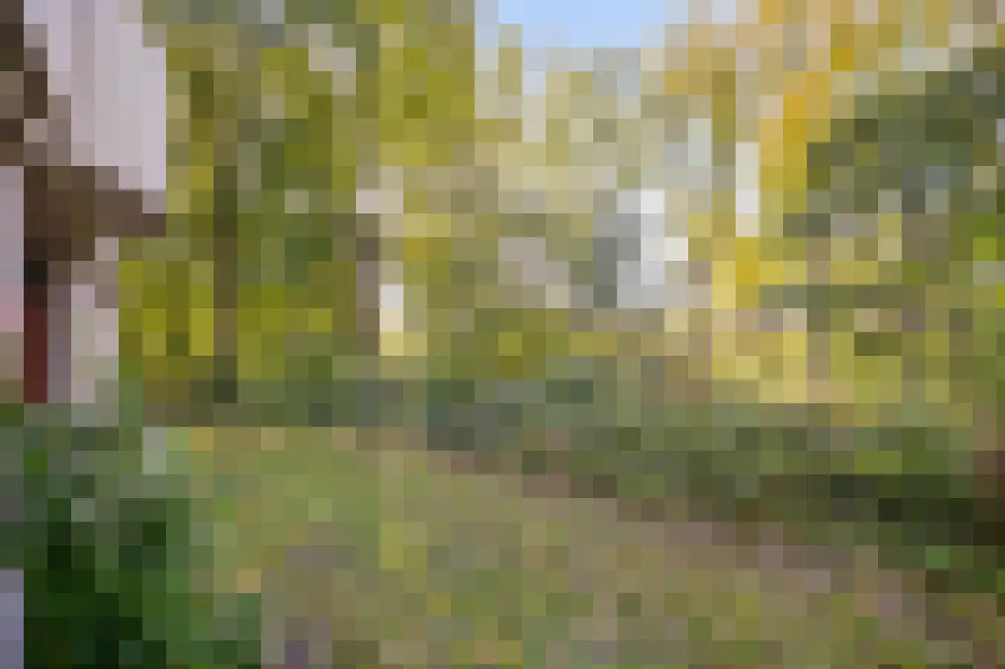 Benedenlangs 5 Amsterdam thumbnail 30