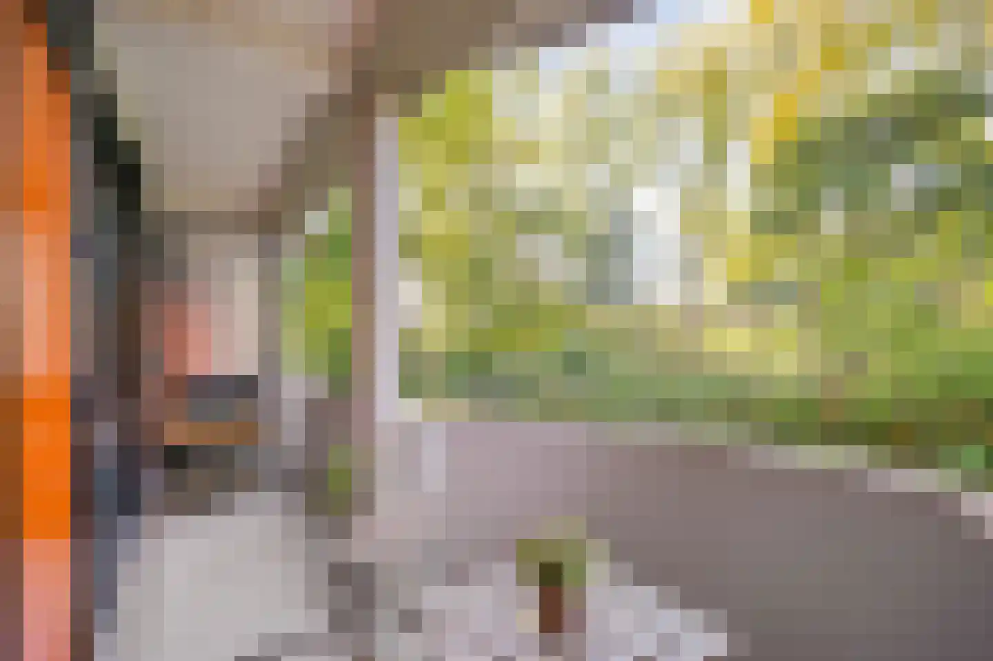 Benedenlangs 5 Amsterdam thumbnail 4