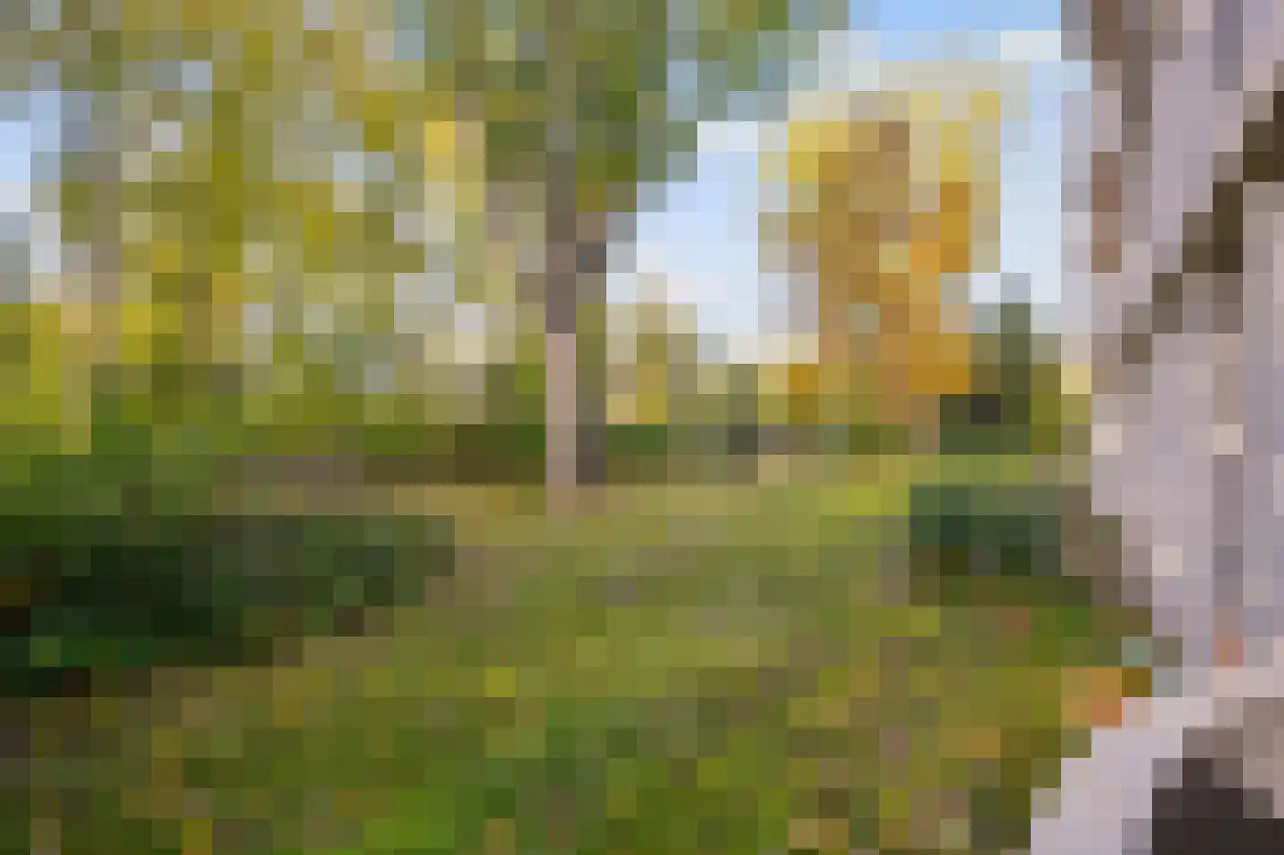 Benedenlangs 5 Amsterdam thumbnail 5