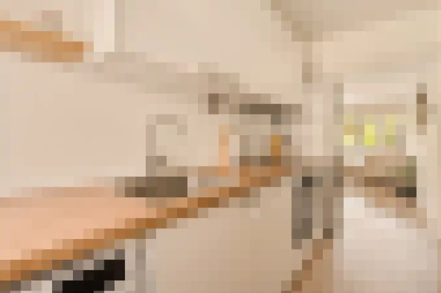 Benedenlangs 5 Amsterdam thumbnail 6