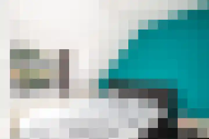 Benedenrijweg 107 Ridderkerk thumbnail 14