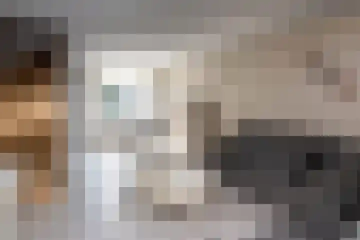 Benedenrijweg 107 Ridderkerk thumbnail 4